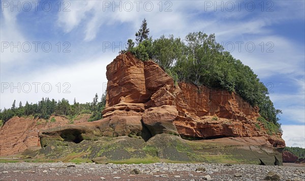 Wooded cliffs, red sandstone, Five Islands Provincial Park, Fundy Bay, Nova Scotia, Canada, North America