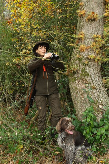 Huntress with hunting dog Griffon, binoculars and rifle at the edge of the forest, Allgaeu, Bavaria, Germany, Europe