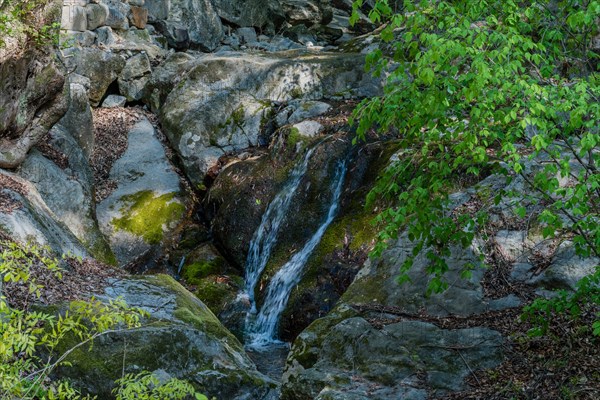 A small waterfall cascades over moss-covered rocks, flanked by fresh green leaves, in South Korea