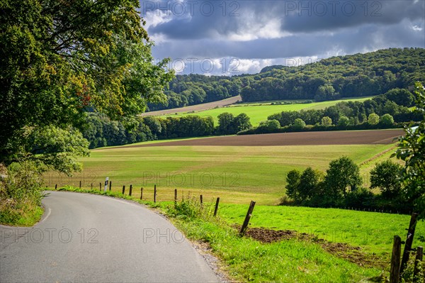 Winding country road leads through a picturesque green landscape, Windrather Tal, Velbert-Langenberg, Mettmann, Bergisches Land, North Rhine-Westphalia