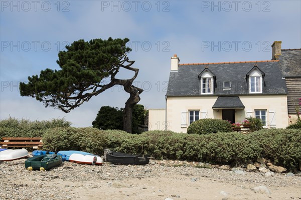 Houses on the beach, Plougrescant, Cote de Granit Rose, Cotes d'Armor, Brittany, France, Europe