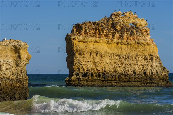 Beach, beach area in the Algarve, summer holiday, weather, sunny, Atlantic, beach, beach holiday, summer holiday, travel, holiday, tourism, nature, rocky, rocks, landscape, coastal landscape, rocky coast, cliffs, bay, bay of the sea, sea, Carvoeiro, Portugal, Europe