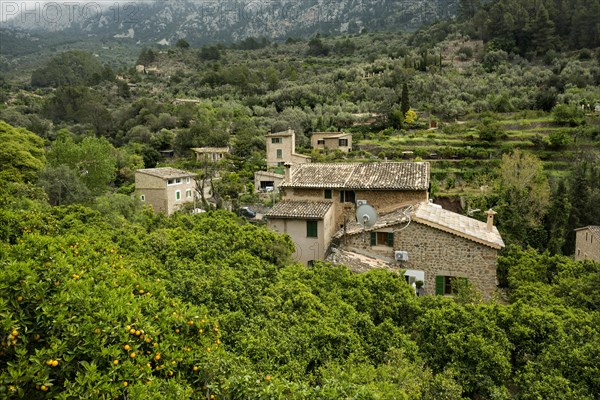 Village in the mountains with citrus plantations, Fornalutx, Soller, Serra de Tramuntana, Majorca, Majorca, Balearic Islands, Spain, Europe