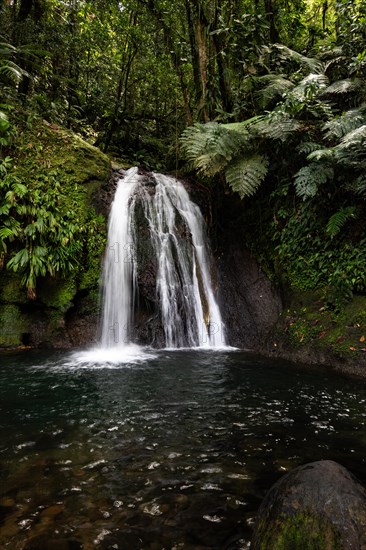 Pure nature, a waterfall with a pool in the forest. The Ecrevisses waterfalls, Cascade aux ecrevisses on Guadeloupe, in the Caribbean. French Antilles, France, Europe