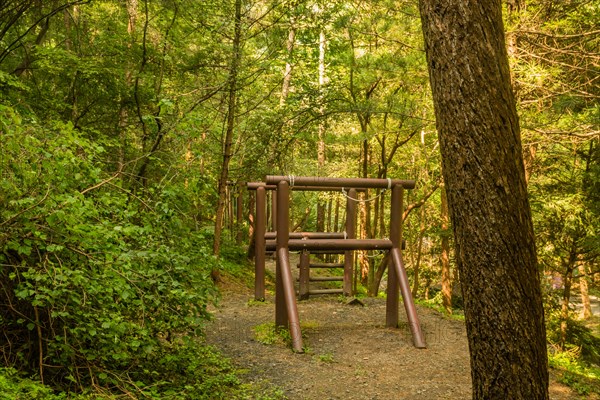Outdoor gym equipment made of wood in a lush forest environment, in South Korea