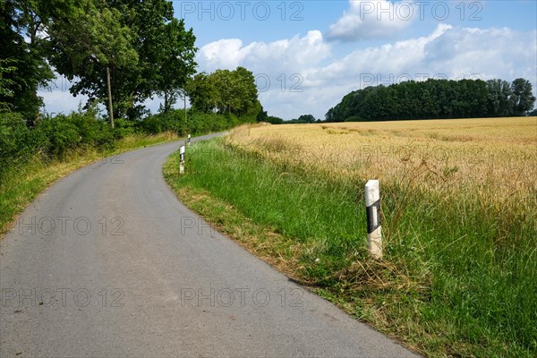 A winding country road leads past a ripe wheat field, flanked by a cloud-covered sky