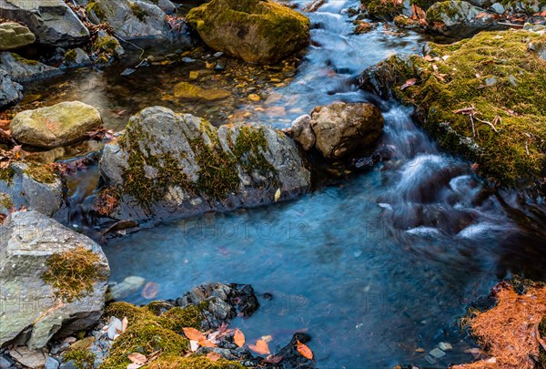 A shallow brook flows over rocks and moss, with fallen autumn leaves visible in the water, in South Korea