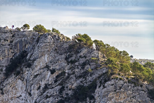 Hikers on the edge of a cliff with a backdrop of trees and clear skies, Hiking tour in Taix massiv, Mallorca