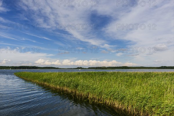 Natural landscape, nature, puristic, reed, seagrass, water, lake, natural, travel, holiday, tourism, calm, silence, lonely, empty, seafaring, summer, holiday, landscape, outdoor, active holiday, form of travel, rural, emotion, green, clean, clear, climate, close to nature, beautiful, horizon, meditative, coast, coastal landscape, environment, quiet, Masuria, Poland, Europe