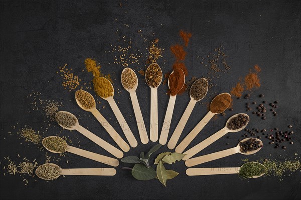 Colourful spices arranged in fan-shaped spoons on a dark background