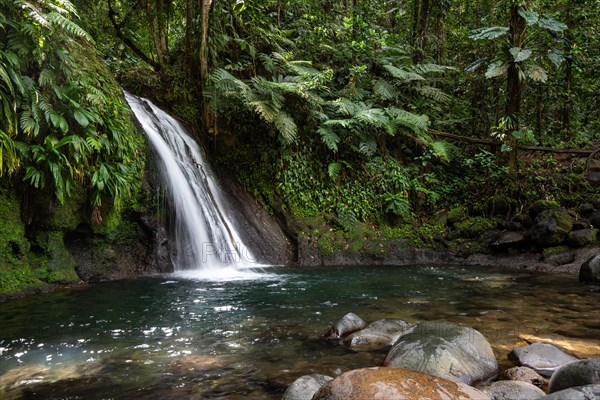 Pure nature, a waterfall with a pool in the forest. The Ecrevisses waterfalls, Cascade aux ecrevisses on Guadeloupe, in the Caribbean. French Antilles, France, Europe