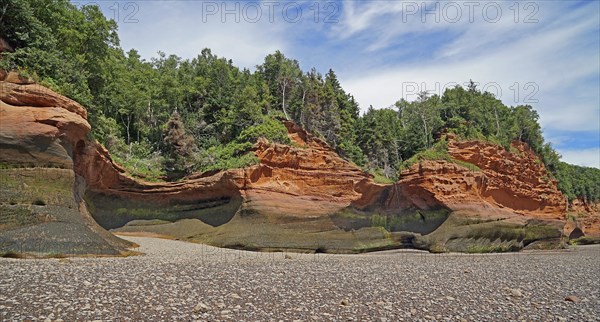 Wooded cliffs, red sandstone, Five Islands Provincial Park, Fundy Bay, Nova Scotia, Canada, North America