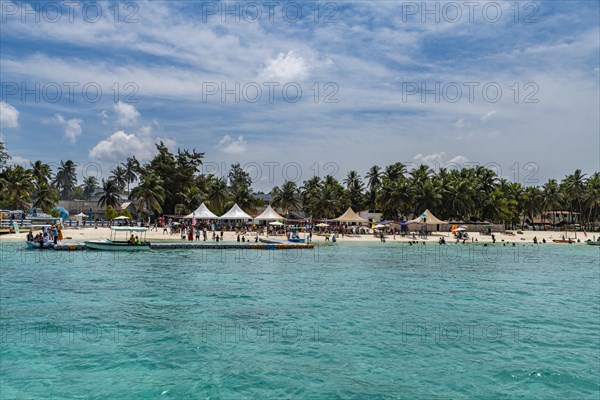 Palm fringed white sand beach, Agatti Island, Lakshadweep archipelago, Union territory of India