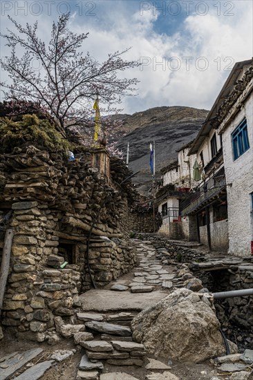 Remote Tetang village, Kingdom of Mustang, Nepal, Asia