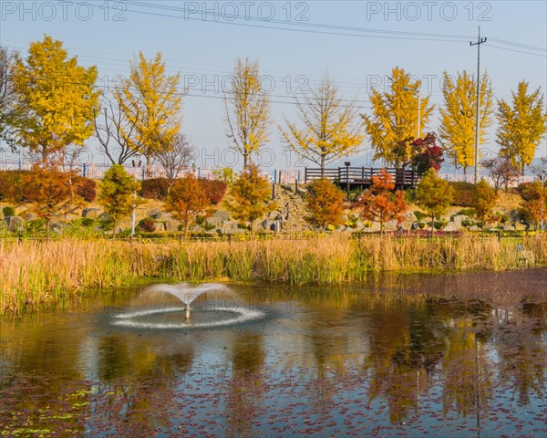 A serene pond with a fountain, bordered by reeds and vibrant autumn trees, in South Korea