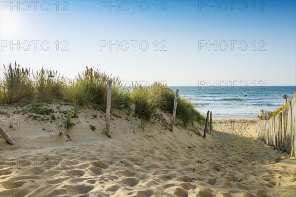 Path through the dunes to the beach, Quiberon peninsula, Brittany, France, Europe