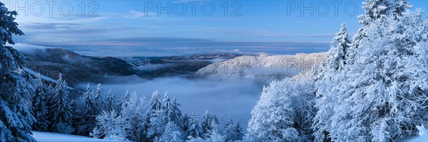 Winter on the Feldberg in front of sunrise, Breisgau-Hochschwarzwald district, Baden-Wuerttemberg, Germany, Europe