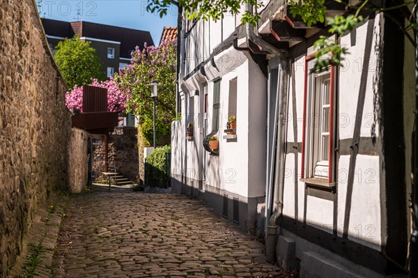 Sunny narrow alley with half-timbered houses and flowering plants by the wayside, Old Town, Hattingen, Ennepe-Ruhr district, Ruhr area, North Rhine-Westphalia