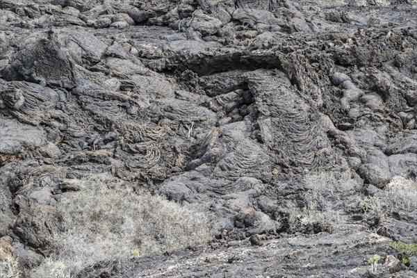 Lava structures, Costa Teguise, Lanzarote, Canary Islands, Spain, Europe