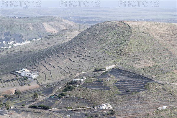 Agriculture terraced landscape seen from the Mirador del Guinate, Haria, Lanzarote, Canary Islands, Spain, Europe