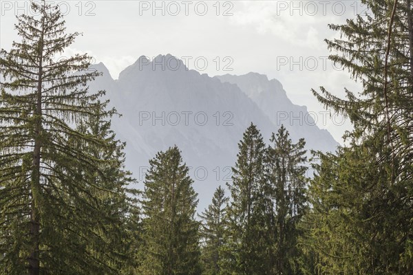 Wetterstein mountains with Zugspitze massif and forest in autumn, hiking trail Kramerplateauweg, Garmisch-Partenkirchen, Upper Bavaria, Bavaria, Germany, Europe