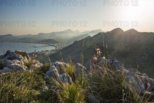 Bay and mountains, Port de Pollenca, Serra de Tramuntana, Majorca, Balearic Islands, Spain, Europe