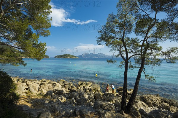 Platja Formentor, Cape Formentor, Port de Pollenca, Serra de Tramuntana, Majorca, Majorca, Balearic Islands, Spain, Europe