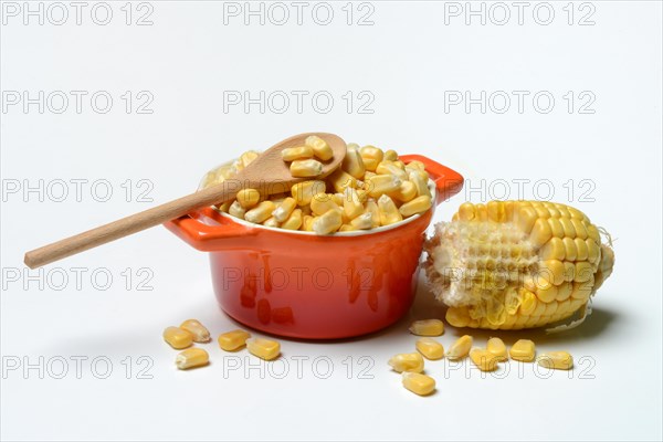 Fresh maize kernels in pots and cobs, corn (Zea mays)