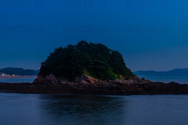 An illuminated island with lush trees stands out against the calm sea during blue hour, in South Korea
