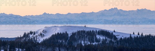 View from the Feldberg over the Herzogenhorn to the Swiss Alps, in front of sunrise, Breisgau-Hochschwarzwald district, Baden-Wuerttemberg, Germany, Europe