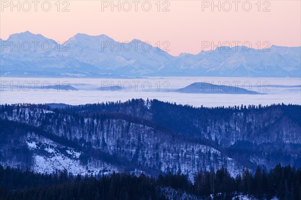 View from Feldberg to the Swiss Alps, in front of sunrise, Breisgau-Hochschwarzwald district, Baden-Wuerttemberg, Germany, Europe