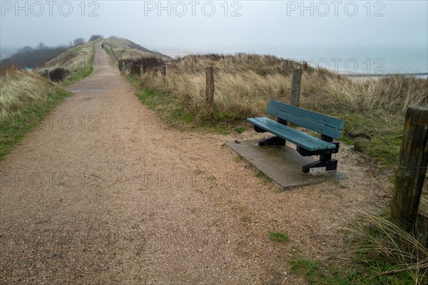An empty bench on a path with a view of the dunes under a cloudy sky