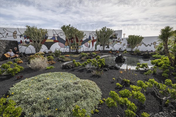 Garden in the inner courtyard of the Fundacion Cesar Manrique, Lanzarote, Canary Islands, Spain, Europe