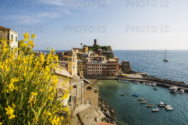 Village with colourful houses by the sea, Vernazza, UNESCO World Heritage Site, Cinque Terre, Riviera di Levante, Province of La Spezia, Liguria, Italy, Europe