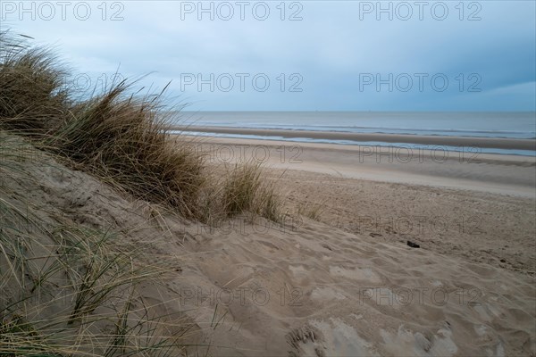 Dunes with beach grass in front of an empty beach and a cloudy sky, DeHaan, Flanders, Belgium, Europe