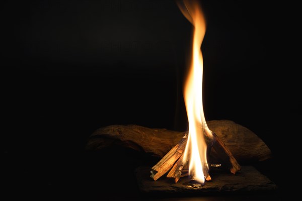 Bonfire in the night, trunk of wood burning black background and copy space