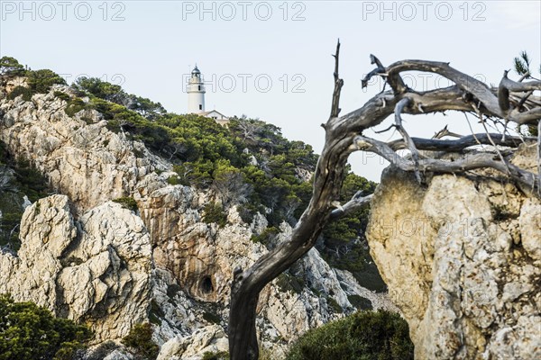 Far de Capdebera lighthouse, Cala Rajada, Majorca, Majorca, Balearic Islands, Spain, Europe