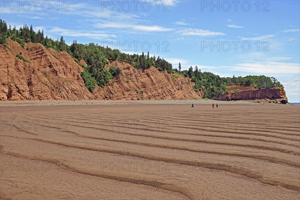 Sandy beach beach at low tide, cliffs, red sandstone, Five Islands Provincial Park, Fundy Bay, Nova Scotia, Canada, North America