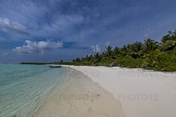 White sand beach, Parli 1 island, Lakshadweep archipelago, Union territory of India