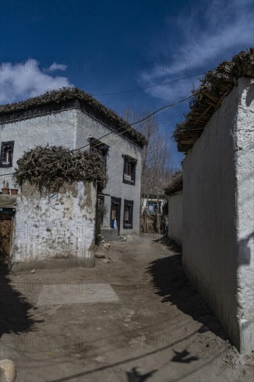 Village of Tsarang, Kingdom of Mustang, Nepal, Asia