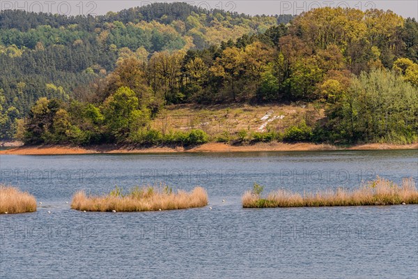 Landscape of lake with three small islands in the middle of lake and shoreline with a small clearing surrounded by evergreen trees in South Korea