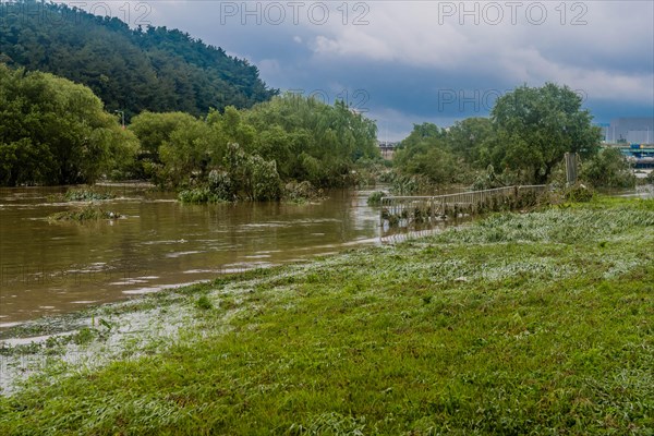 River overflowing its banks, flooding the surrounding trees and greenery, in South Korea