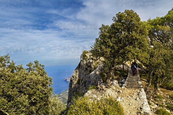 Hikers on a sunny trail alongside cliffs with green trees around, Hiking tour in Taix massiv, Mallorca