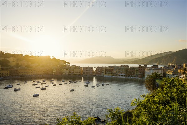 Village with colourful houses by the sea, sunset, Baia del Silenzio, Sestri Levante, Province of Genoa, Riveria di Levante, Liguria, Italy, Europe