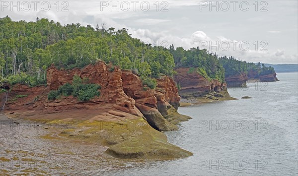 Seashore, wooded cliffs, red sandstone, Five Islands Provincial Park, Fundy Bay, Nova Scotia, Canada, North America