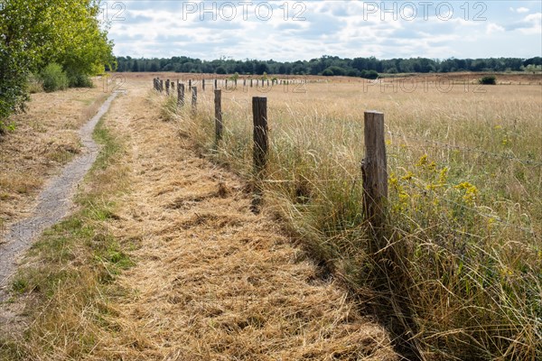 A narrow path next to a wooden fence leads through dry grassland with a cloudy sky