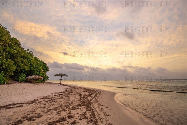 The most beautiful beach, whether sunrise or sunset, can be found on Guadeloupe, Caribbean, French Antilles, France, Europe