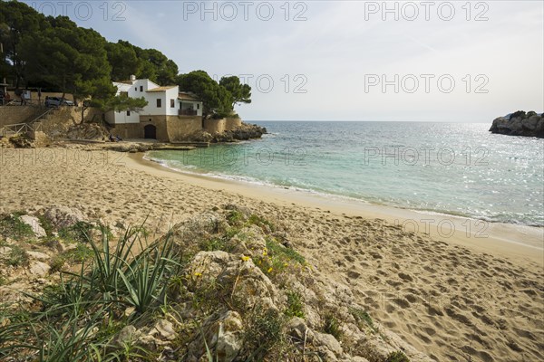 Cala Gat, Cala Ratjada, Majorca, Balearic Islands, Spain, Europe