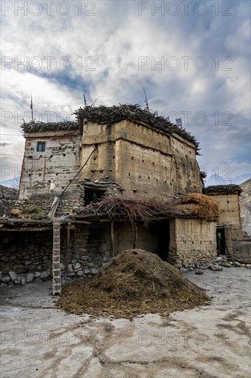Old palace in the remote Tetang village, Kingdom of Mustang, Nepal, Asia