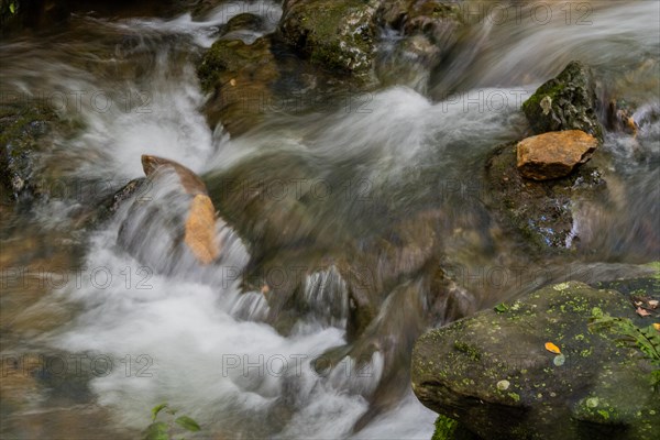 Small water fall cascading down rocks in the middle of a small mountain stream in Guam